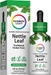 Nettle Leaf Liquid Extract Alcohol Free, 2 fl oz (59 mL) Liquid