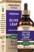 Olive Leaf Liquid Extract Alcohol Free, 4 fl oz (118 mL) Dropper Bottle